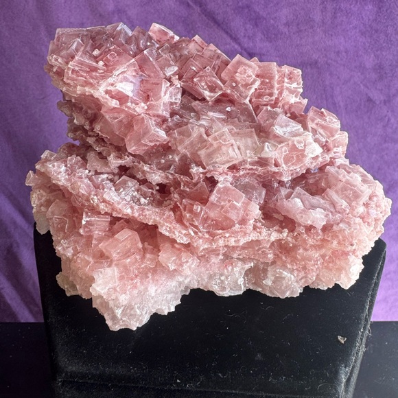 Pink Halite (Searles Lake, California) - Picture 7 of 8